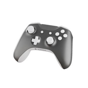 Gaming Consoles